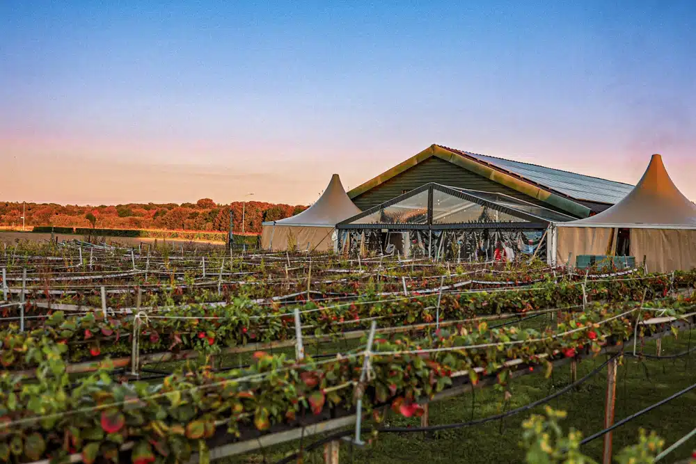 Tent van 10 meter breed opgesteld bij een clubgebouw voor tijdelijk gebruik